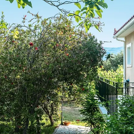 Apartment Anemona C Katelios