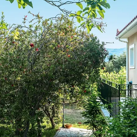 Apartament Anemona C Kefalonia Island