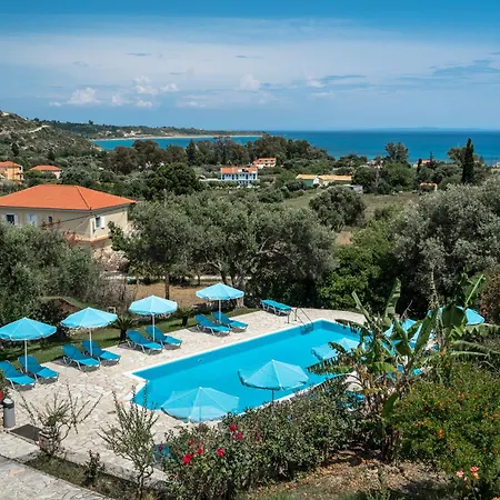 Anemona C