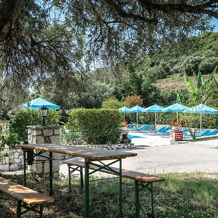 Anemona C *
