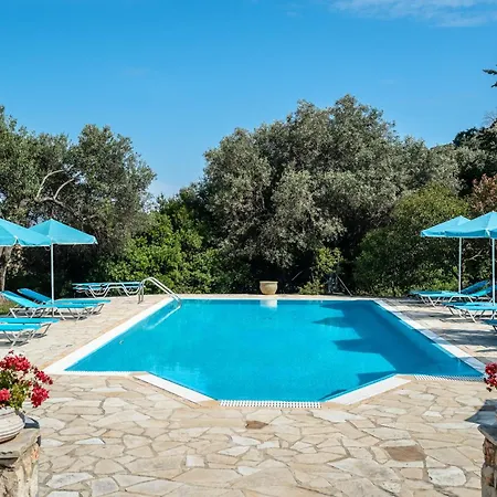 Anemona C